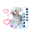 愛くるしいものたち（個別スタンプ：6）