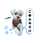 愛くるしいものたち（個別スタンプ：7）