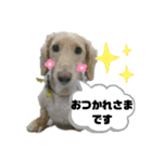 愛くるしいものたち（個別スタンプ：10）