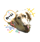 愛くるしいものたち（個別スタンプ：14）