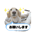 愛くるしいものたち（個別スタンプ：15）