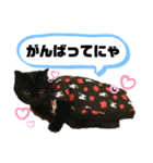 愛くるしいものたち（個別スタンプ：17）