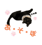 愛くるしいものたち（個別スタンプ：19）