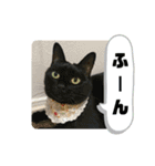 愛くるしいものたち（個別スタンプ：22）