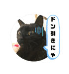 愛くるしいものたち（個別スタンプ：23）