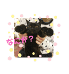 愛くるしいものたち（個別スタンプ：24）