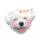 愛くるしいものたち（個別スタンプ：27）