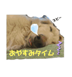 愛くるしいものたち（個別スタンプ：33）