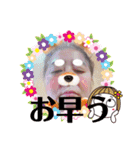 奈保美スタンプ2（個別スタンプ：12）