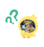 とらのすけとはなまる（個別スタンプ：8）