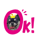 好きすぎてたまならい（個別スタンプ：5）