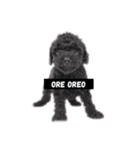 ORE 俺男（個別スタンプ：3）