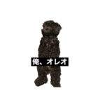 ORE 俺男（個別スタンプ：8）