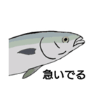 お嬢Fish（個別スタンプ：1）