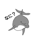 お嬢Fish（個別スタンプ：4）