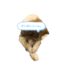 バンとよし。（個別スタンプ：5）