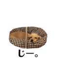 ぱぴぱぴぶんぶん（個別スタンプ：9）