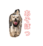 ぱぴぱぴぶんぶん（個別スタンプ：16）