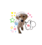 ももの気持ちのおすそ分け（個別スタンプ：3）