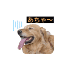 ももの気持ちのおすそ分け（個別スタンプ：6）
