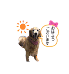 ももの気持ちのおすそ分け（個別スタンプ：7）