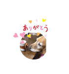 ももの気持ちのおすそ分け（個別スタンプ：13）