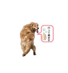 ももの気持ちのおすそ分け（個別スタンプ：14）