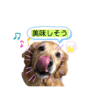 ももの気持ちのおすそ分け（個別スタンプ：15）