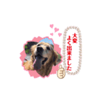 ももの気持ちのおすそ分け（個別スタンプ：35）