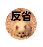 おじチワらむたん（個別スタンプ：2）