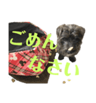 おーくん★ばんくん（個別スタンプ：13）
