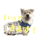 おーくん★ばんくん（個別スタンプ：14）