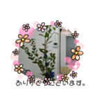 みーきょスタンプNo.1（個別スタンプ：2）