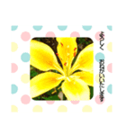 みーきょスタンプNo.1（個別スタンプ：3）