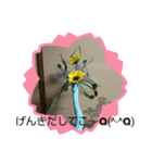 みーきょスタンプNo.1（個別スタンプ：4）