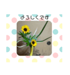 みーきょスタンプNo.1（個別スタンプ：6）