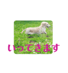 ふくこむぎかんたれでぃじぞうつきねわらび（個別スタンプ：2）