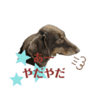 ふくこむぎかんたれでぃじぞうつきねわらび（個別スタンプ：10）