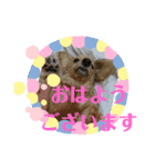 ふくこむぎかんたれでぃじぞうつきねわらび（個別スタンプ：12）
