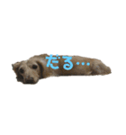 ふくこむぎかんたれでぃじぞうつきねわらび（個別スタンプ：14）