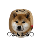 せれなの日常スタンプ③（個別スタンプ：8）