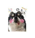 ちわのくっく（個別スタンプ：14）