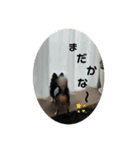 ちわのくっく（個別スタンプ：20）