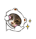 ねこねこねこ④（個別スタンプ：6）
