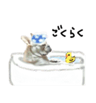 フレブル ももたくんスタンプ【1】（個別スタンプ：13）