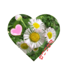 花っこ（個別スタンプ：1）