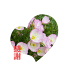 花っこ（個別スタンプ：6）