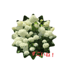 花っこ（個別スタンプ：7）