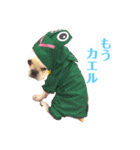 ロンとよしお2（個別スタンプ：5）