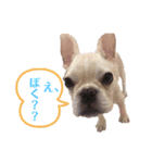ロンとよしお2（個別スタンプ：11）